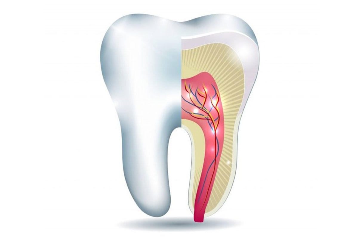 https://dental.harbors.in/wp-content/uploads/2023/06/Root-Canal-Treatment3.jpg