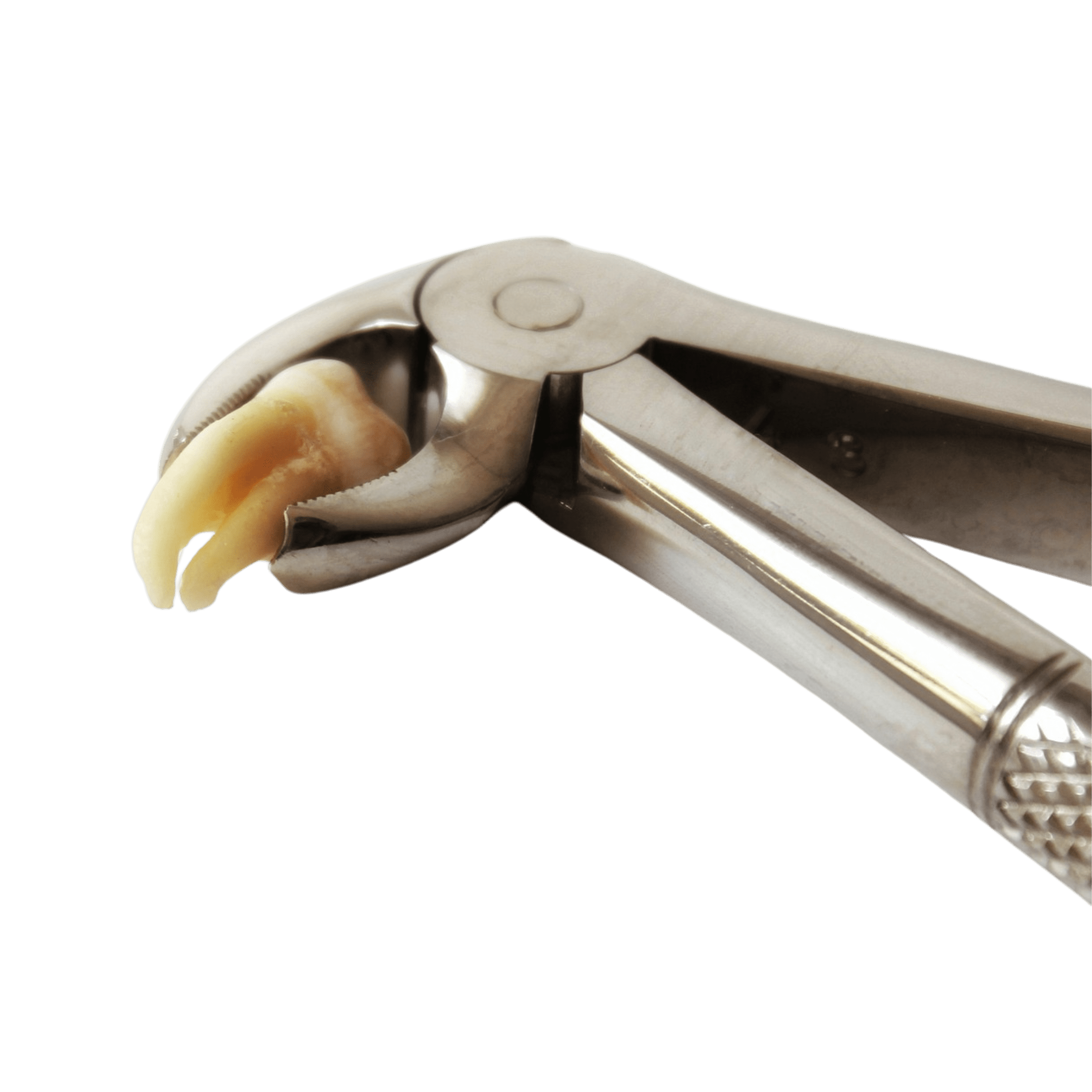 https://dental.harbors.in/wp-content/uploads/2024/01/Wisdom-Tooth-Removal.png